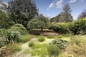 Communal Garden pic2- click for photo gallery